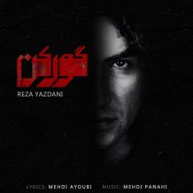 دانلود آهنگ جدید رضا یزدانی به نام گورکن